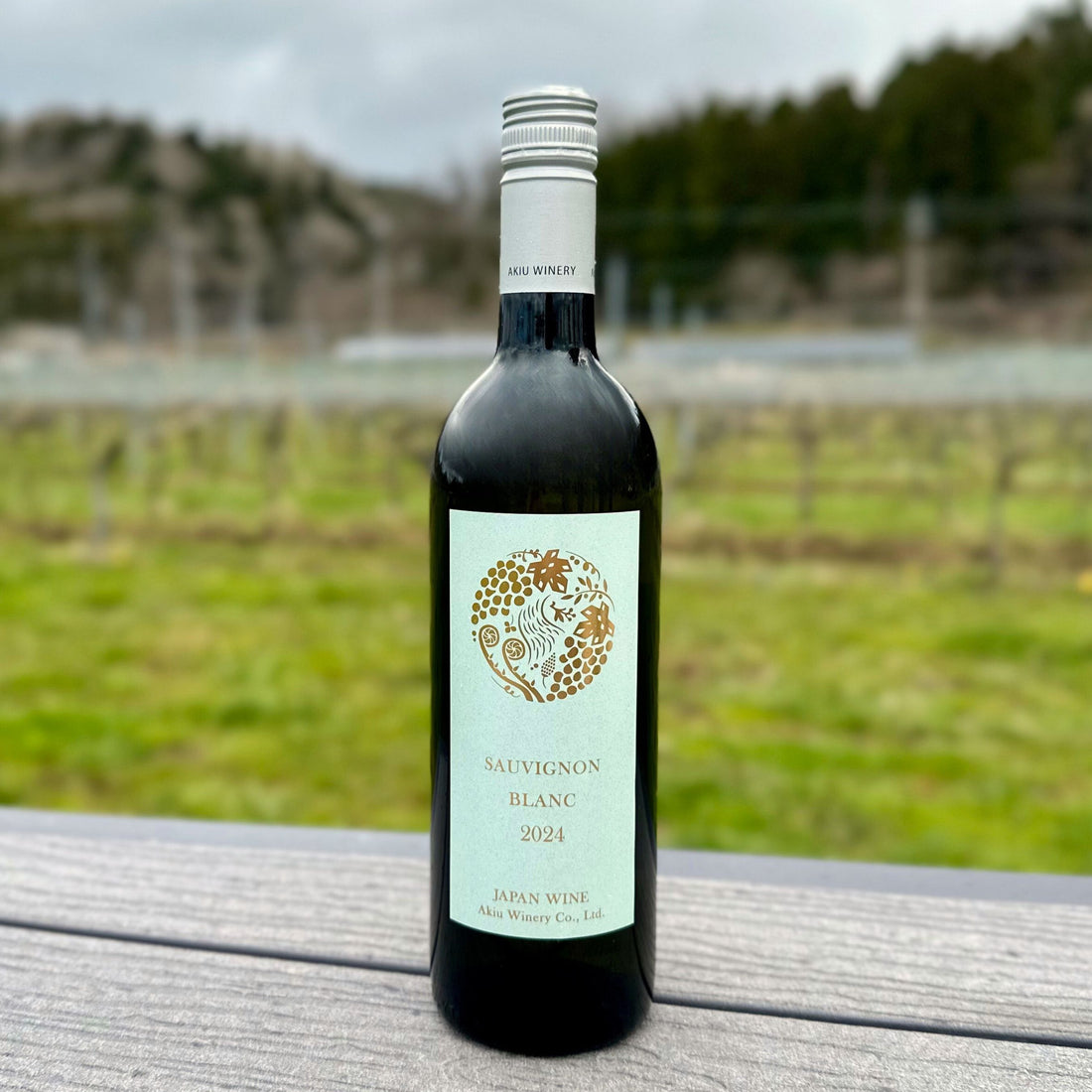 ソーヴィニヨン・ブラン SAUVIGNON BLANC 2024