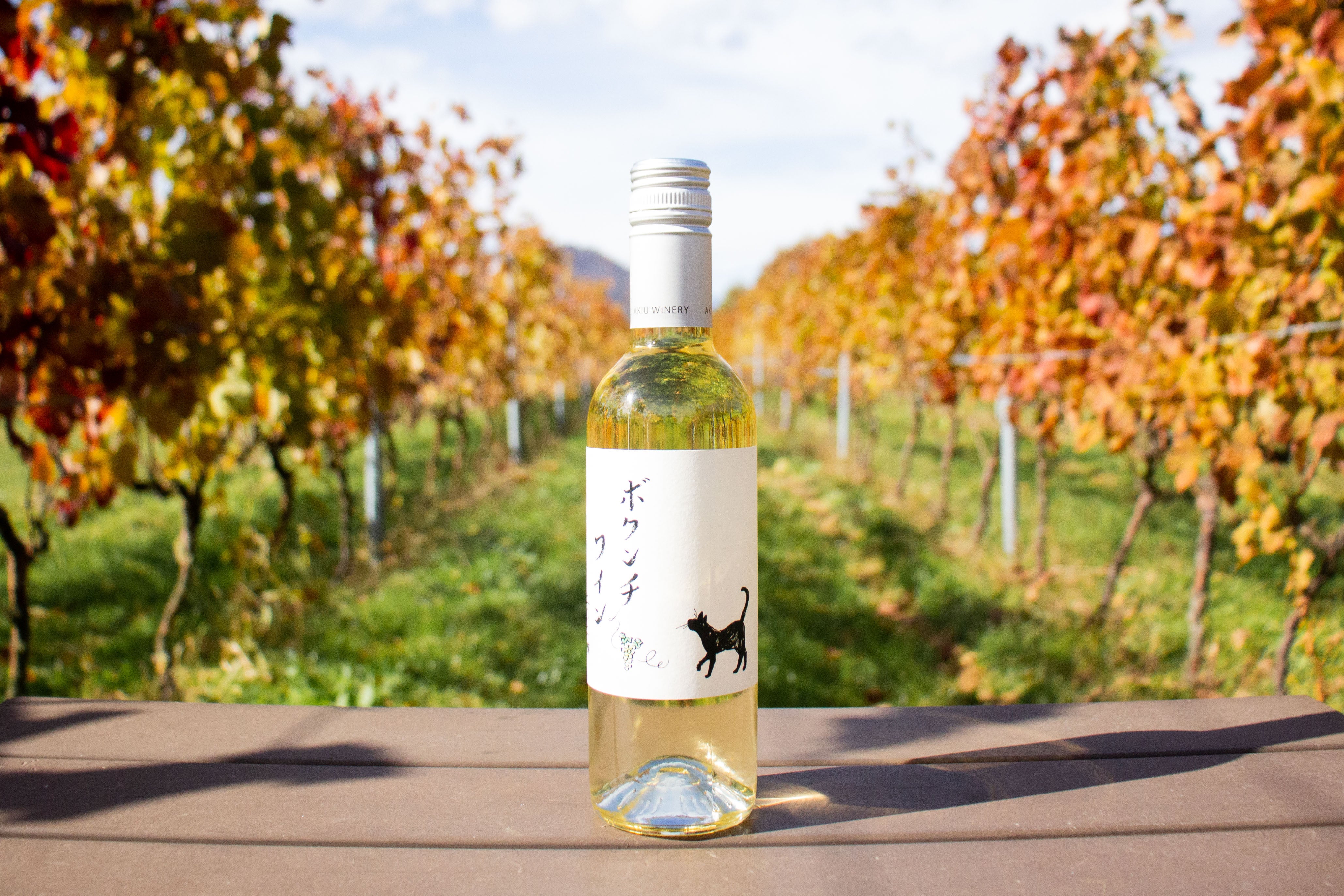 ワイン空き瓶2本 Amazon｜OKUMEYR 2個ガラスワインボトル 厚手果酒瓶 コルク栓付き 密封