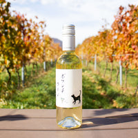 ⭐️RADWIMPS ボクンチワイン 二〇二四(白)※11月29日(土)正午より数量限定で販売