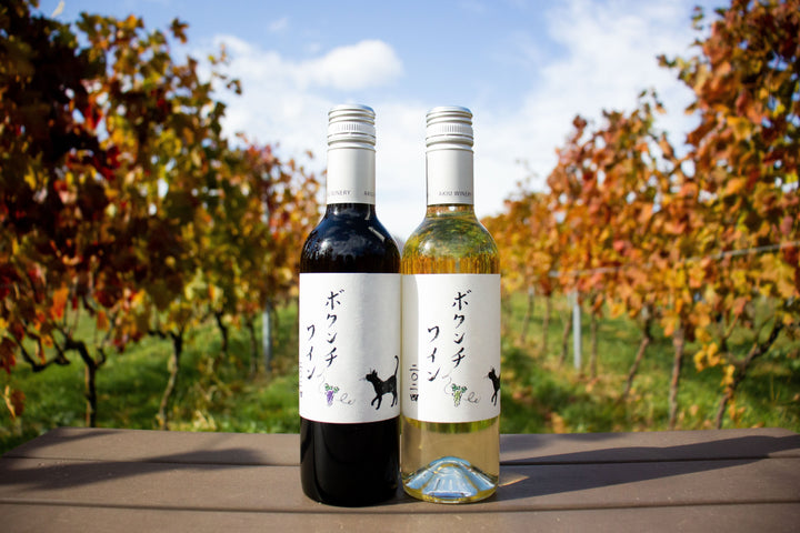 RADWIMPS・武田祐介さんが手掛けた「ボクンチワイン 二〇二四」販売開始！