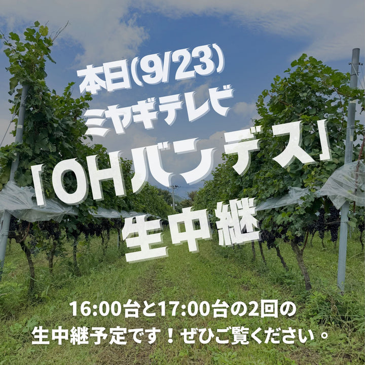 9/23 ミヤギテレビ「OHバンデス！」生中継！