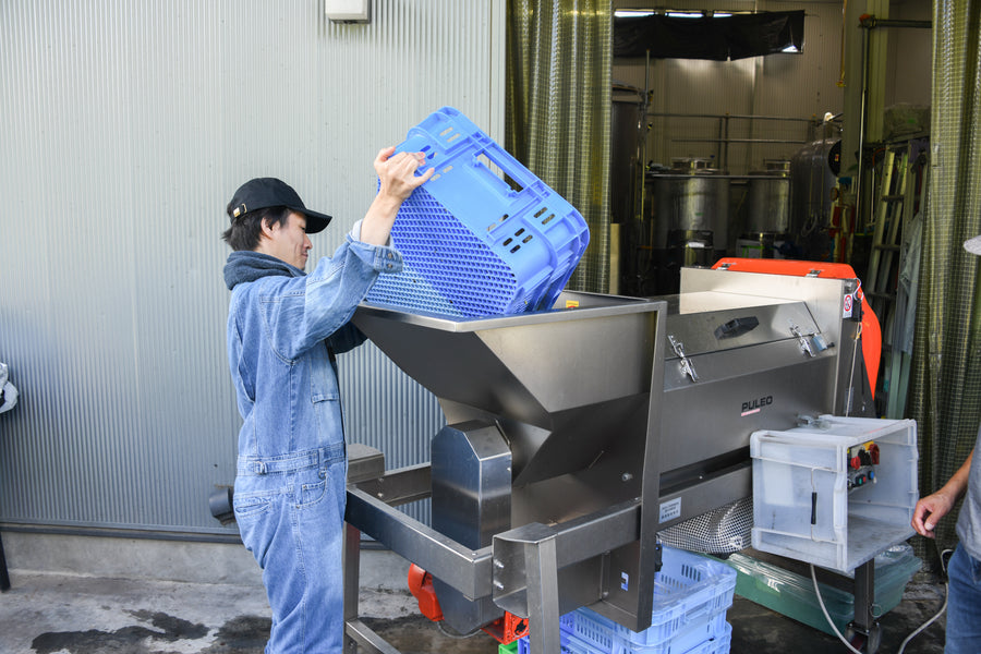 ⭐️RADWIMPS ボクンチワイン 二〇二四 （赤・白セット） ※11月29日（土）正午より数量限定で販売