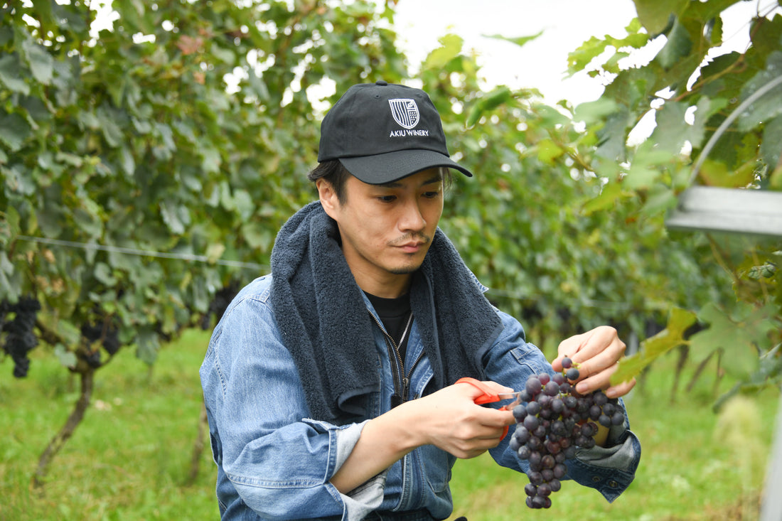 ⭐️RADWIMPS ボクンチワイン 二〇二四 （赤・白セット） ※11月29日（土）正午より数量限定で販売