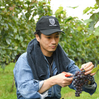 ⭐️RADWIMPS ボクンチワイン 二〇二四（赤）※11月29日（土）正午より数量限定で販売