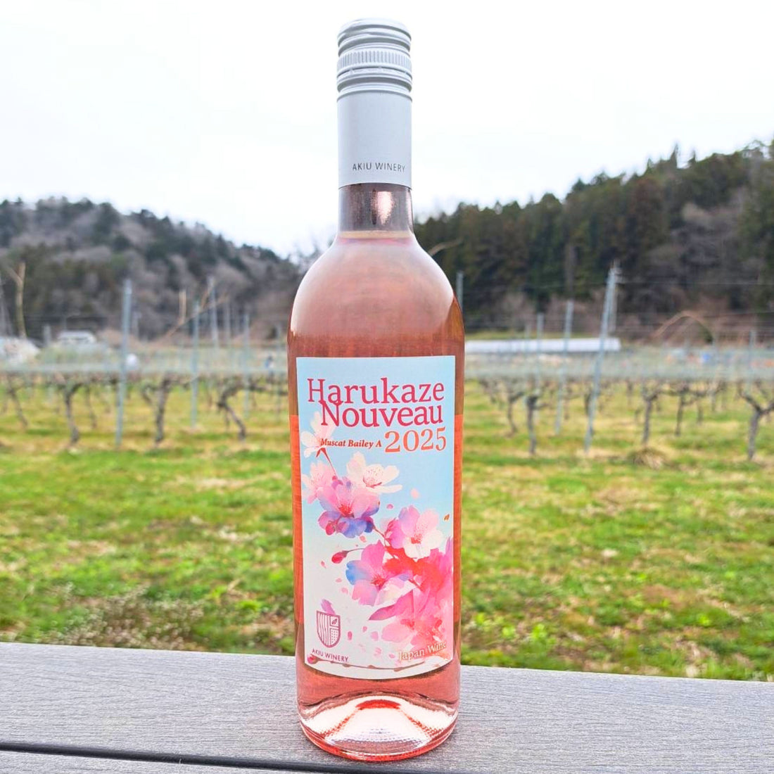 4/5 発売開始 春限定ラベル「春風ヌーボー　Harukaze Nouveau 2026」 300本限定